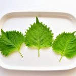 北海道民にはおなじみの食材 カスベ っていったい何 ご当地情報局