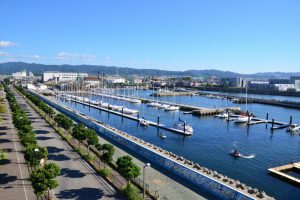 大阪の風習 恵方巻き で 恵方 とされる方角は全部でいくつ ご当地情報局