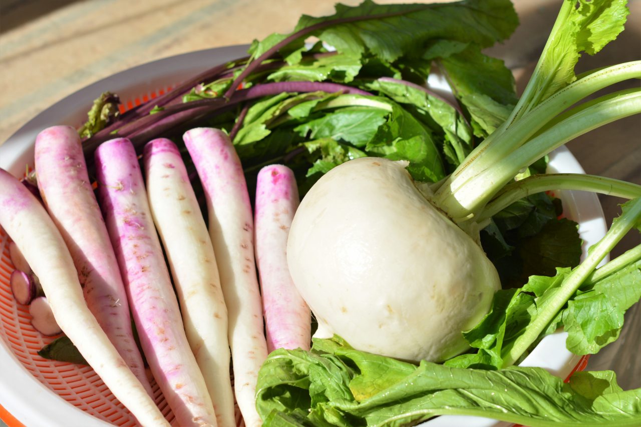 滋賀県のカブの品種 日野菜 何と読む ご当地情報局