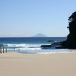 静岡県伊豆で誕生した アワビ サザエ ワタリガニなどの海鮮がふんだんに使われた鍋料理を何という ご当地情報局