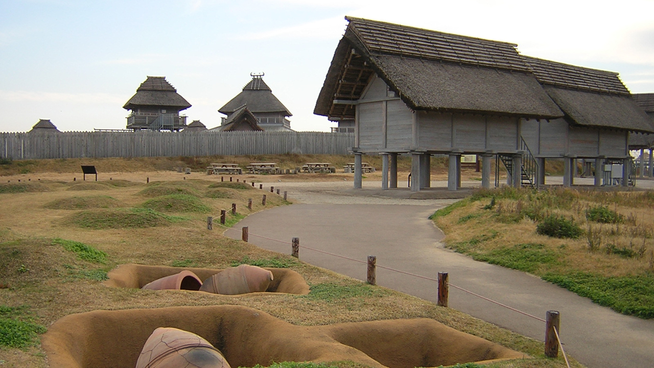 佐賀県の夏場の日常食となっている 水イモの酢の物は ご当地情報局