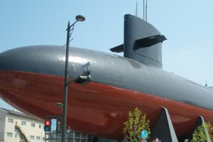 高菜 野沢菜とともに日本三大漬け菜に数えられる アブラナ科の野菜は ご当地情報局