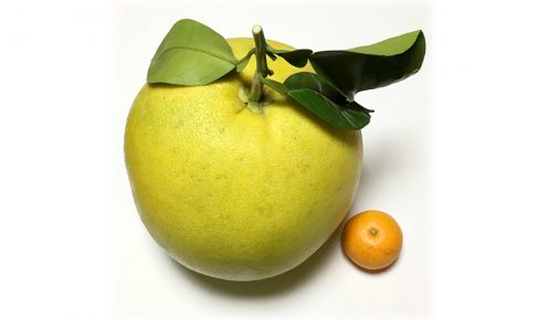 熊本 ご当地情報局