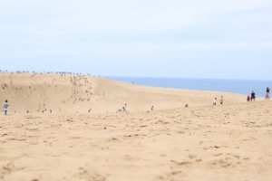 鳥取県東部の名物として知られる 豆腐と魚のすり身を混ぜ合わせた食品は ご当地情報局