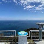 高菜 野沢菜とともに日本三大漬け菜に数えられる アブラナ科の野菜は ご当地情報局