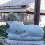 高菜 野沢菜とともに日本三大漬け菜に数えられる アブラナ科の野菜は ご当地情報局