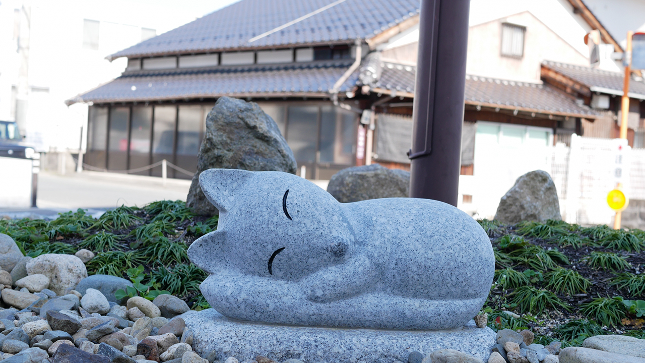 あさひ製菓が販売している クリームをカステラで包んだ山口銘菓は ご当地情報局