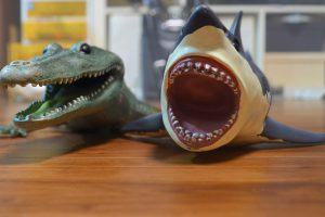 高菜 野沢菜とともに日本三大漬け菜に数えられる アブラナ科の野菜は ご当地情報局