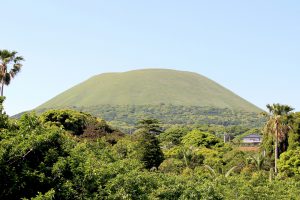 長崎の名物 ざぼん漬け この ざぼん とは何のこと ご当地情報局