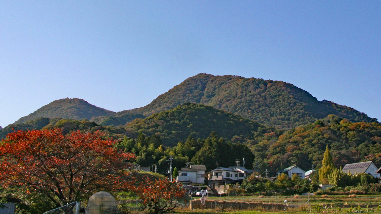 主に奈良県で見られるお雑煮の食べ方 お餅を別皿の あるもの につけて食べますが そのあるものとは ご当地情報局