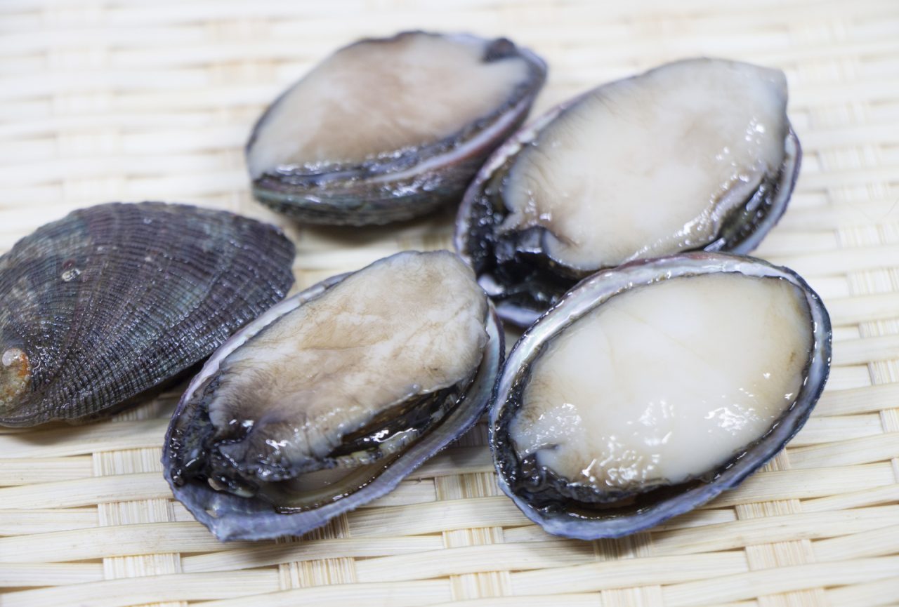 高知県では ナガレコ と呼ばれる アワビに似た食用の貝は ご当地情報局